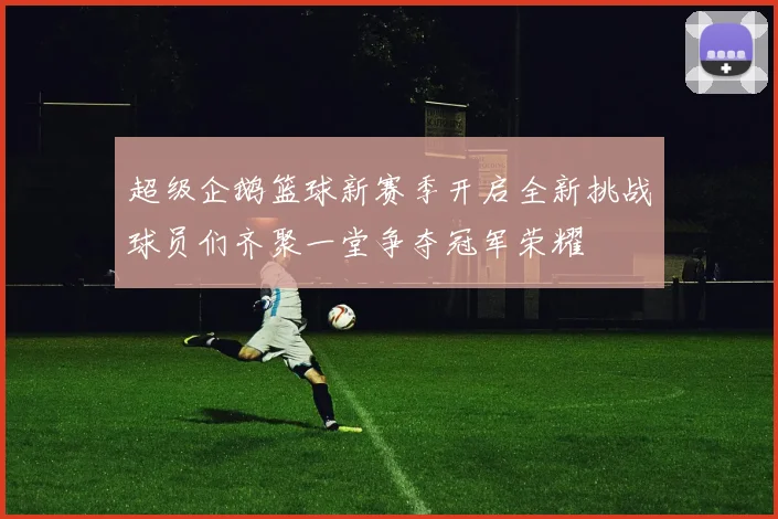 超级企鹅篮球新赛季开启全新挑战球员们齐聚一堂争夺冠军荣耀