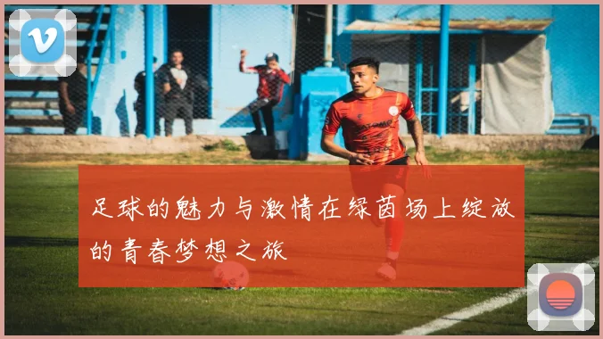足球的魅力与激情在绿茵场上绽放的青春梦想之旅