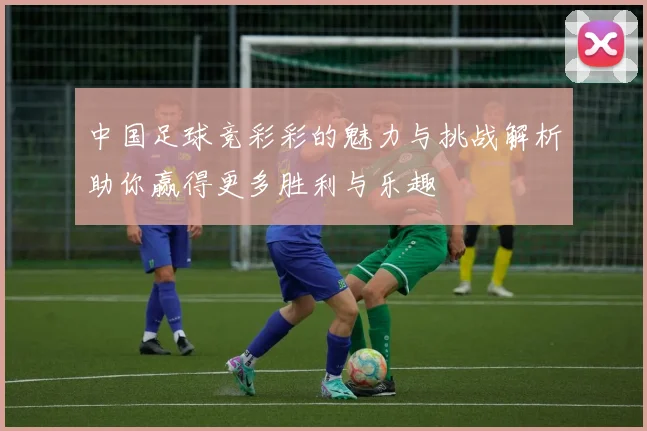 中国足球竞彩彩的魅力与挑战解析助你赢得更多胜利与乐趣