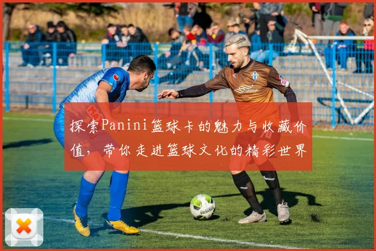 探索Panini篮球卡的魅力与收藏价值，带你走进篮球文化的精彩世界