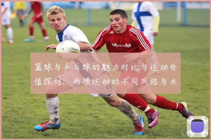 篮球与乒乓球的魅力对比与运动价值探讨：两项运动的不同风格与共同点分析