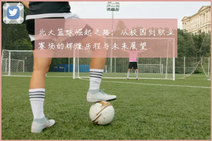 北大篮球崛起之路：从校园到职业赛场的辉煌历程与未来展望