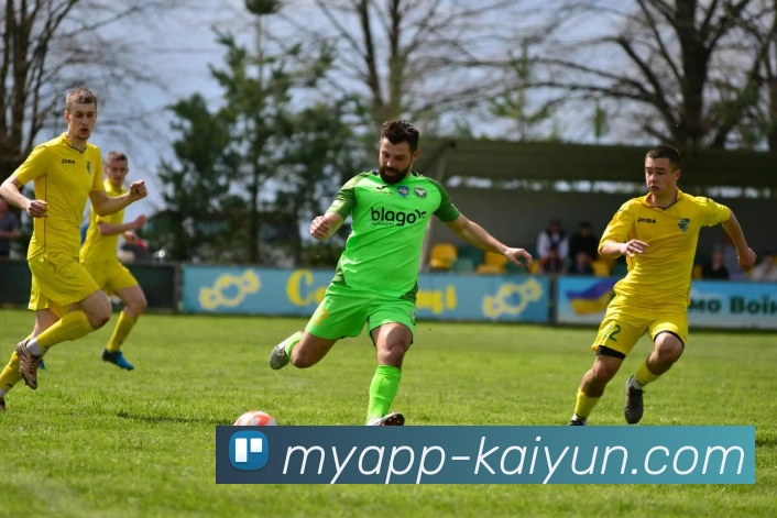 开云体育官网APP 高清赛事图